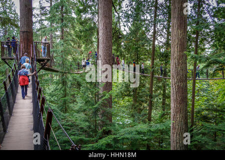 Les touristes sur la Cime des arbres du parc Capilano Aventure, Vancouver, Colombie-Britannique, Canada. Banque D'Images