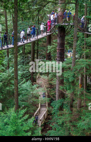 Les touristes sur la Cime des arbres du parc Capilano Aventure, Vancouver, Colombie-Britannique, Canada. Banque D'Images