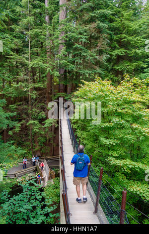 Les touristes sur la Cime des arbres du parc Capilano Aventure, Vancouver, Colombie-Britannique, Canada. Banque D'Images