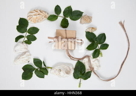 Frame à partir des feuilles de roses et de coquilles sur fond blanc. Mémoire de l'été Banque D'Images