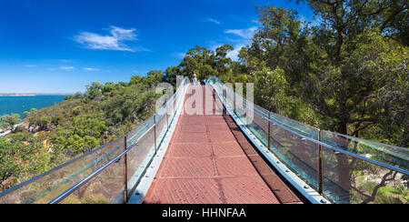 Lotterywest Federation Walkway Pont Voûté dans Kings Park, Perth, Australie occidentale Banque D'Images