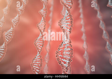 Illustration numérique d'une structure d'ADN dans l'arrière-plan coloré. Rendu 3D concept médecine Banque D'Images