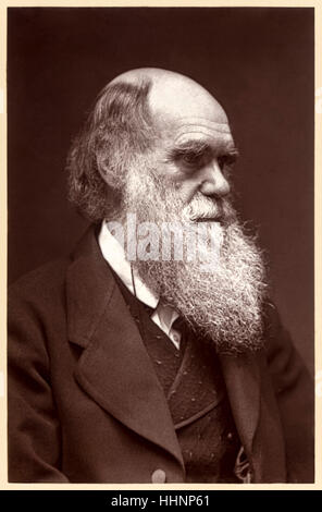 Charles Darwin (1809-1882) naturaliste anglais qui pour la première fois sa théorie de l'évolution et la sélection naturelle dans son livre sur l'origine des espèces" publié en 1859. Voir la description pour plus d'informations. Banque D'Images