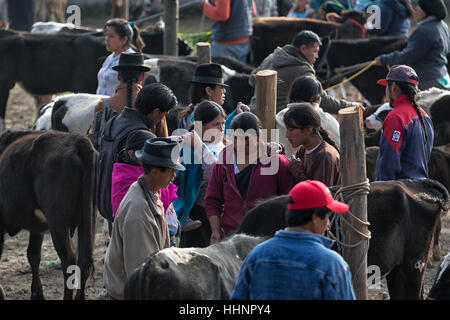 6 août, 2016 Leon, Nicaragua : les hommes et les femmes ou commerciaux vendent leur bétail au marché des animaux Banque D'Images