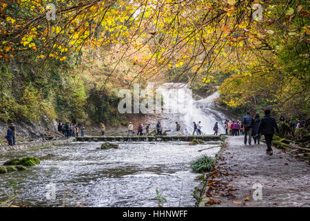 Awamata No Taki Waterfall à Yoro Keikoku, Chiba, Japon Banque D'Images