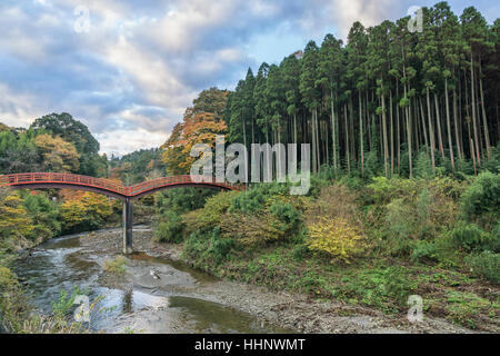 Kannonbashi Pont à Yoro Keikoku, Chiba, Japon Banque D'Images