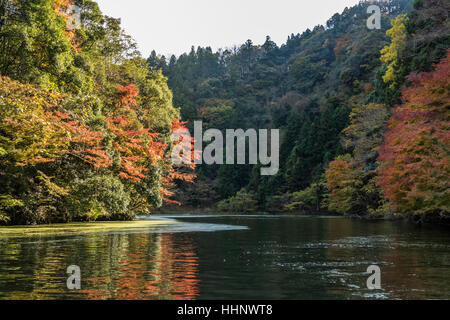 Lac Kameyama en automne, Chiba, Japon Banque D'Images