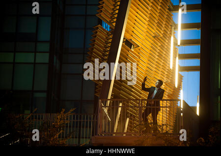 Businessman sur balcon posant pour téléphone cellulaire de nuit selfies Banque D'Images