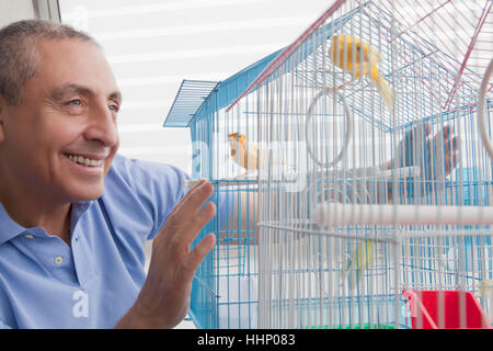 Smiling Hispanic man admiring oiseaux en cage Banque D'Images