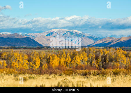 Les arbres d'automne dans paysage de montagnes Banque D'Images