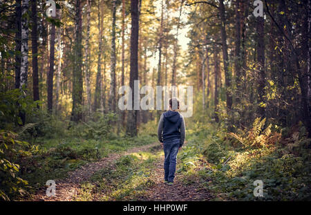 Young boy errant dans forest Banque D'Images