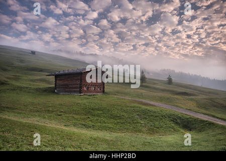 Un matin brumeux dans l'Alpe di Siusi Banque D'Images