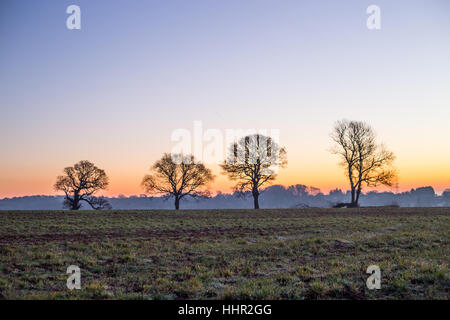 Le vieux St Mellons, Cardiff, Pays de Galles, Royaume-Uni. 20 janvier 2017. Le vieux St Mellons, Cardiff se réveilla au gel ce matin, 20 janvier 2017. Crédit : Chris Stevenson/Alamy Live News Banque D'Images