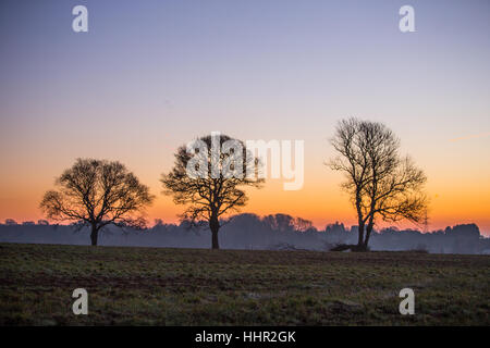 Le vieux St Mellons, Cardiff, Pays de Galles, Royaume-Uni. 20 janvier 2017. Le vieux St Mellons, Cardiff se réveilla au gel ce matin, 20 janvier 2017. Crédit : Chris Stevenson/Alamy Live News Banque D'Images