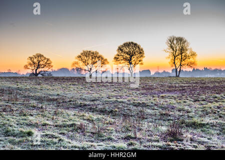 Le vieux St Mellons, Cardiff, Pays de Galles, Royaume-Uni. 20 janvier 2017. Le vieux St Mellons, Cardiff se réveilla au gel ce matin, 20 janvier 2017. Crédit : Chris Stevenson/Alamy Live News Banque D'Images