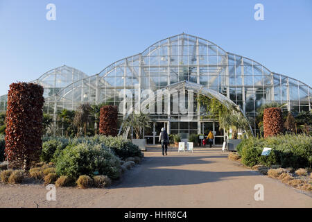 Wisley, Surrey, UK. 20 janvier 2017. La serre chauffée par une froide et frosty matin à Wisley Gardens à Surrey. Banque D'Images