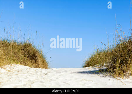 Chemin de sable bordée d'herbe sur une dune à une plage de la côte du golfe du Mexique. Banque D'Images