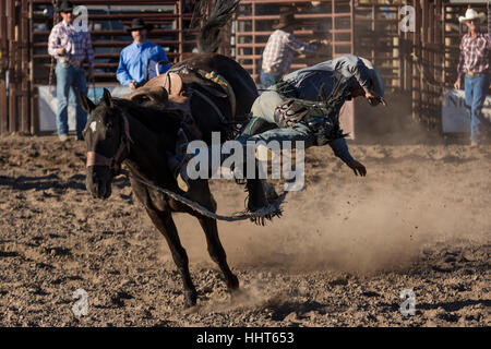 Saddle Bronc riding. Brash Rodeo Finale. Sept 10, 2016. Columbia Falls, Montana, USA Banque D'Images