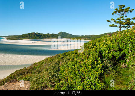 Whitsunday Islands (Queensland, Australie) Banque D'Images