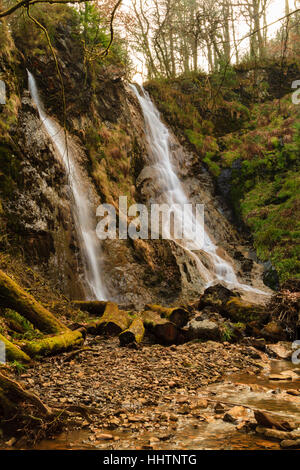 Juments gris cascade Queue ou Rhaeadr y Parc Mawr en gallois les chutes sont dans la forêt de Coed Blwm Felin sur le bord du Parc National de Snowdonia se Banque D'Images