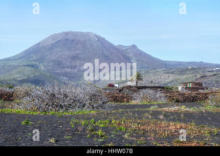 Monto Corona, Haria, Lanzarote, îles Canaries, Espagne Banque D'Images