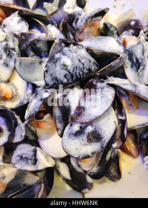 Spécialité de Normandie - fruits de mer à la crème Banque D'Images