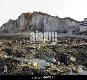 Falaises et marée basse au cours de l'hiver. Yport, Normandie, France Banque D'Images