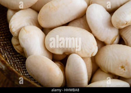 Close up of wet white beans dans Tamis ou passoire. Banque D'Images