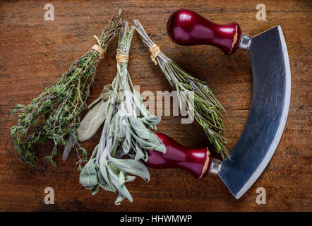 Mezzaluna herb-broyeur avec sauge, thym et romarin herbes culinaires Banque D'Images