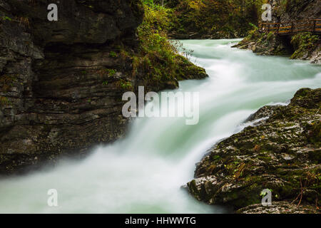 Belles Gorges de Vintgar célèbre près de Bled, Slovénie Banque D'Images