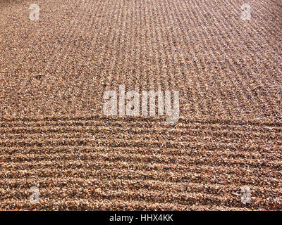 La texture gravier en beige-marron. Prises dans la vallée de la Loire, France Banque D'Images