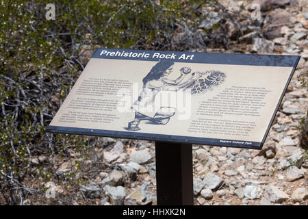 La préhistoire pétroglyphes Amérindiens Hohokam, Saguaro National Park,Tuscon, Arizona Banque D'Images