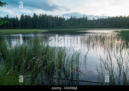 Črno jezero aka Black Lake Banque D'Images