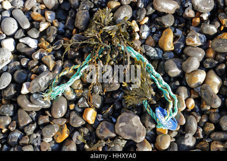 Corde en plastique échoués sur la plage de galets, Sussex England UK Banque D'Images