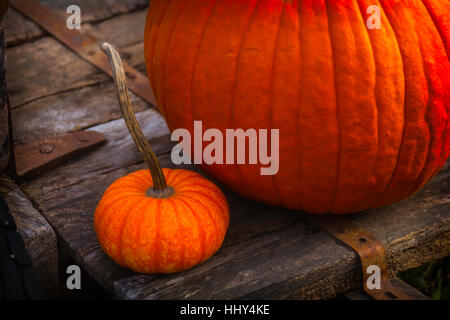 Pumpkins assis sur wagon en bois Banque D'Images