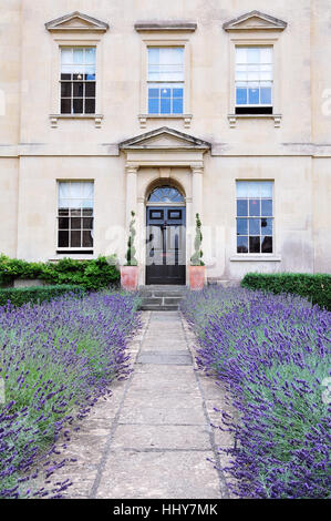 Vue panoramique sur un jardin bordé de Lavande Chemin menant à une belle époque Géorgienne English Town House Banque D'Images