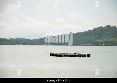 L'élevage en cages de poissons sous l'eau poissons ou les poissons d'élevage dans des cages en filet sur la mer près de Koh Yao Noi et Koh Yao Yai à Phang Nga, Thaïlande Banque D'Images