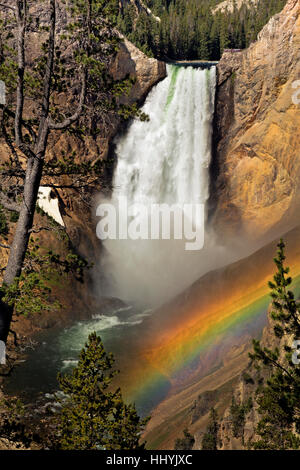 WYOMING - à la base du Lower Falls dans le Grand Canyon de Yellowstone de Red Rock Point dans le Parc National de Yellowstone. Banque D'Images