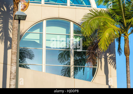 Close up of windown volets et palmiers au San Diego Convention Center. San Diego, Californie. Banque D'Images