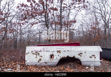 Les restes d'un camion qui a été tourné avec diverses armes, calibur laissés dehors dans les bois Banque D'Images