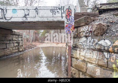 Vieux pont de chemin de fer couverts de graffitis avec chemin de terre sous Banque D'Images