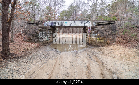 Vieux pont de chemin de fer couverts de graffitis avec un chemin de terre en dessous Banque D'Images