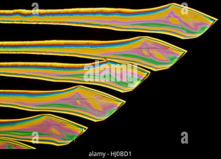 La lumière microphotographie (LM) de la vitamine B6 (pyridoxine) Vitamine B2 (riboflavine).Les cristaux de vitamine B6 est une vitamine hydrosoluble qui est nécessaire pour plus de 100 enzymes impliquées dans le métabolisme des protéines.Il est également essentielle pour le métabolisme des globules rouges.Le système immunitaire nerveux ont besoin de vitamine B6 pour fonctionner Banque D'Images