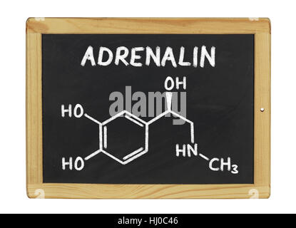 Signe, signal, de sélection, d'un objet, l'éducation, isolé, en option, le modèle, la conception, Banque D'Images