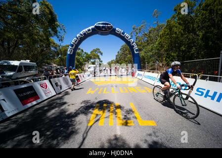 Adélaïde, Australie du Sud, Australie. 21 Jan, 2017. Alan Jaume & Fils Hill sommet, l'étape 5 du Tour Down Under, en Australie le 21 janvier 2017 Credit : Gary Francis/ZUMA/Alamy Fil Live News Banque D'Images