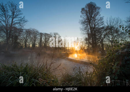 Morden hall Park, Londres, UK. 21 janvier, 2017. mist passant de un barrage sur la rivière Wandle comme le soleil se lève sur la masse de gel dans le sud de Londres, un parc de la banlieue. © Malcolm park editorial/Alamy live news. Banque D'Images