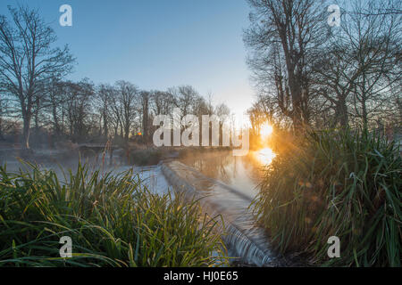 Morden hall Park, Londres, UK. 21 janvier, 2017. mist passant de un barrage sur la rivière Wandle comme le soleil se lève sur la masse de gel dans le sud de Londres, un parc de la banlieue. © Malcolm park editorial/Alamy live news. Banque D'Images