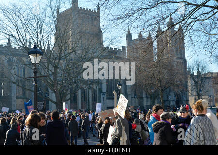 Bristol, Royaume-Uni. 21 Jan, 2017. Bristol, Royaume-Uni les foules de manifestants vu sur College Green . Retour Bretagne marché ouvert. Robert Timoney/AlamyLiveNews Banque D'Images