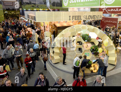 Berlin, Allemagne. 21 Jan, 2017. Les visiteurs se renseignent sur les abeilles à la Slovénie stand à la Semaine verte à Berlin, Allemagne, 21 janvier 2017. Photo : Rainer Jensen/dpa/Alamy Live News Banque D'Images