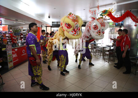 Sydney, Australie. 21 janvier 2017. Un spectacle de danse du lion fait le tour de la Cour mondiale de l'alimentation manger pour célébrer le Nouvel An chinois qui tombe le 28 janvier. Crédit : © Richard Milnes/Alamy Live News Banque D'Images